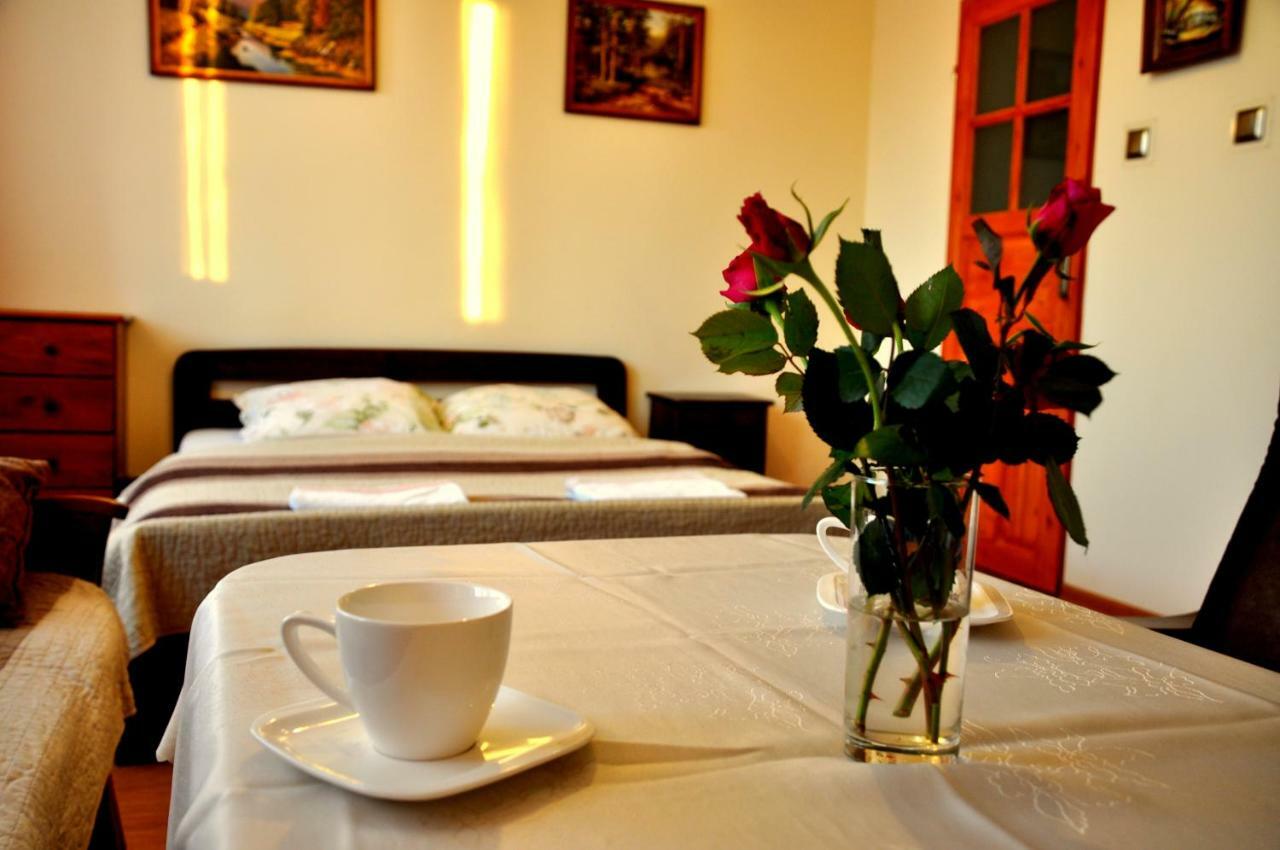 Pokoje Sylwia Z Aneksami Kuchennymi W Kazdym Pokoju Ustron Ngoại thất bức ảnh